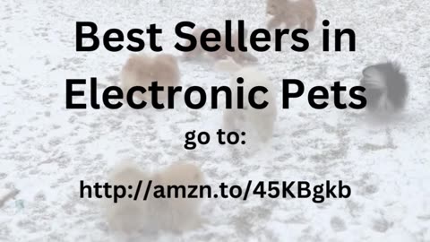 Electronic Pets