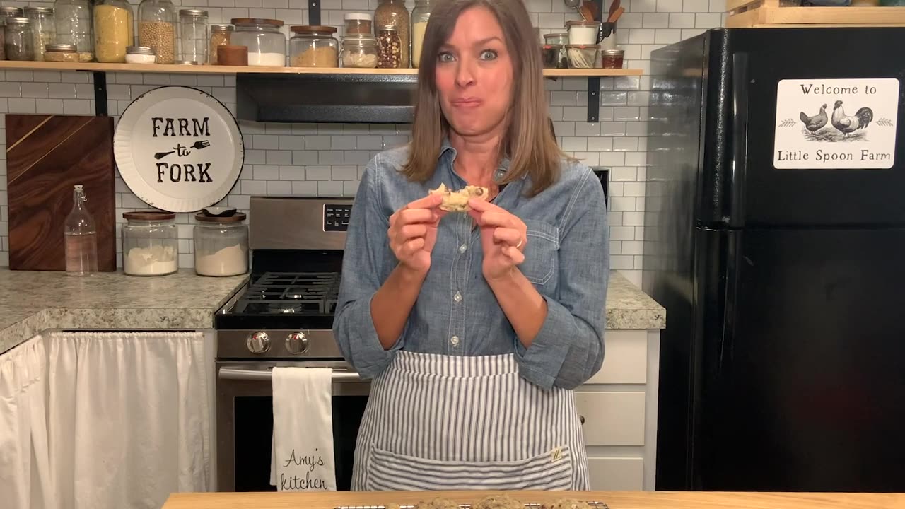 The Greatest Sourdough Chocolate Chip Cookies Ever!