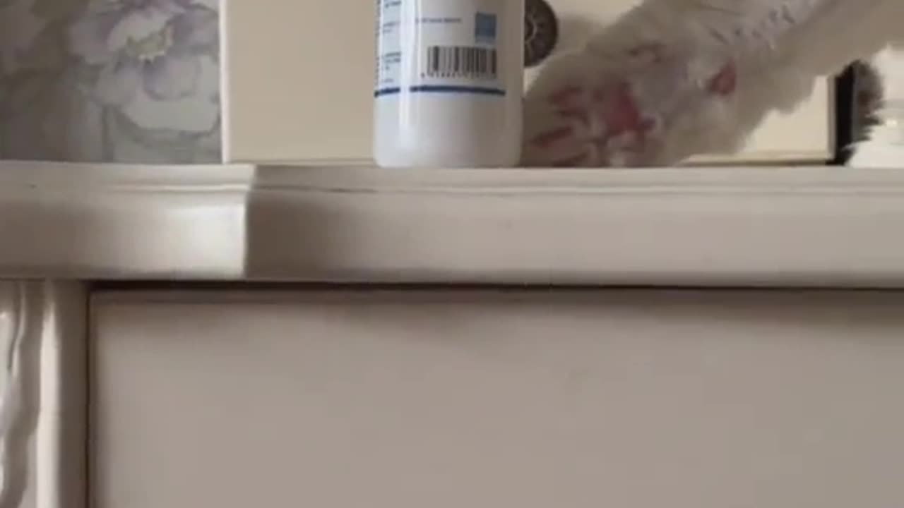 If you can catch it then it's not fun
