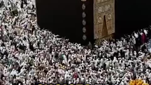 Religion's bargain against death - How Death Drives Life, Pt 17 (Full Video on YouTube soon)