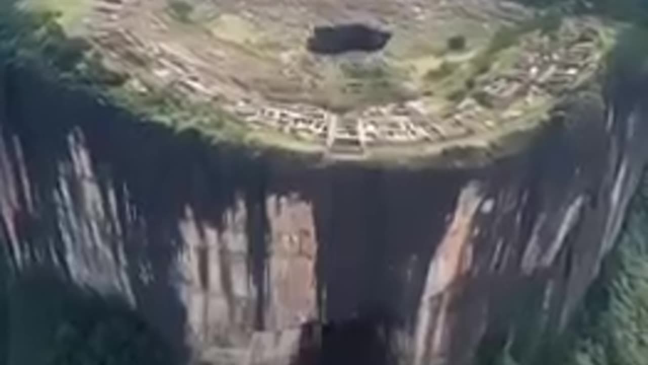 THIS IS ONE OF THE BEST VIDEOS OF AN ANCIENT GIANT TREE STUMP I'VE SEEN