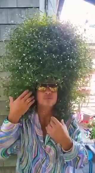 Lauren3veMemes - 😂😂😂😂😂 I love the internet