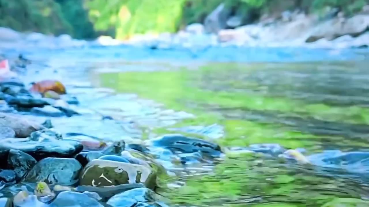 Nature video
