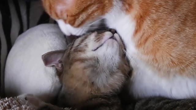 1 Minute to Relax