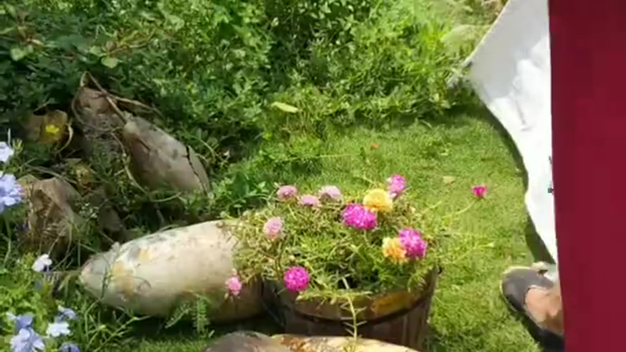 Enjoy beautiful nature with rural life
