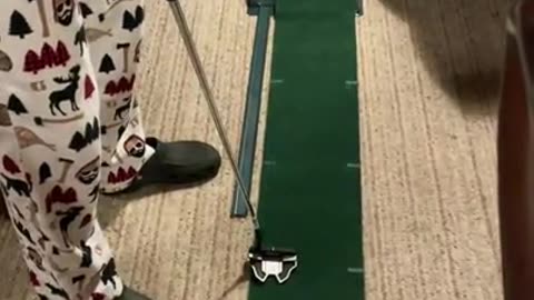 Shorts - Golf