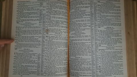 Psalm 8