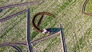 ARTFUL TRACTOR: Amazing Picasso Tribute In Field