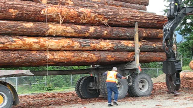 Hayes HDX H17 - Off highway logging truck - throwing the wrappers