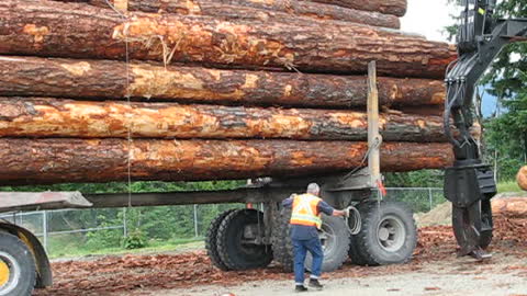 Hayes HDX H17 - Off highway logging truck - throwing the wrappers