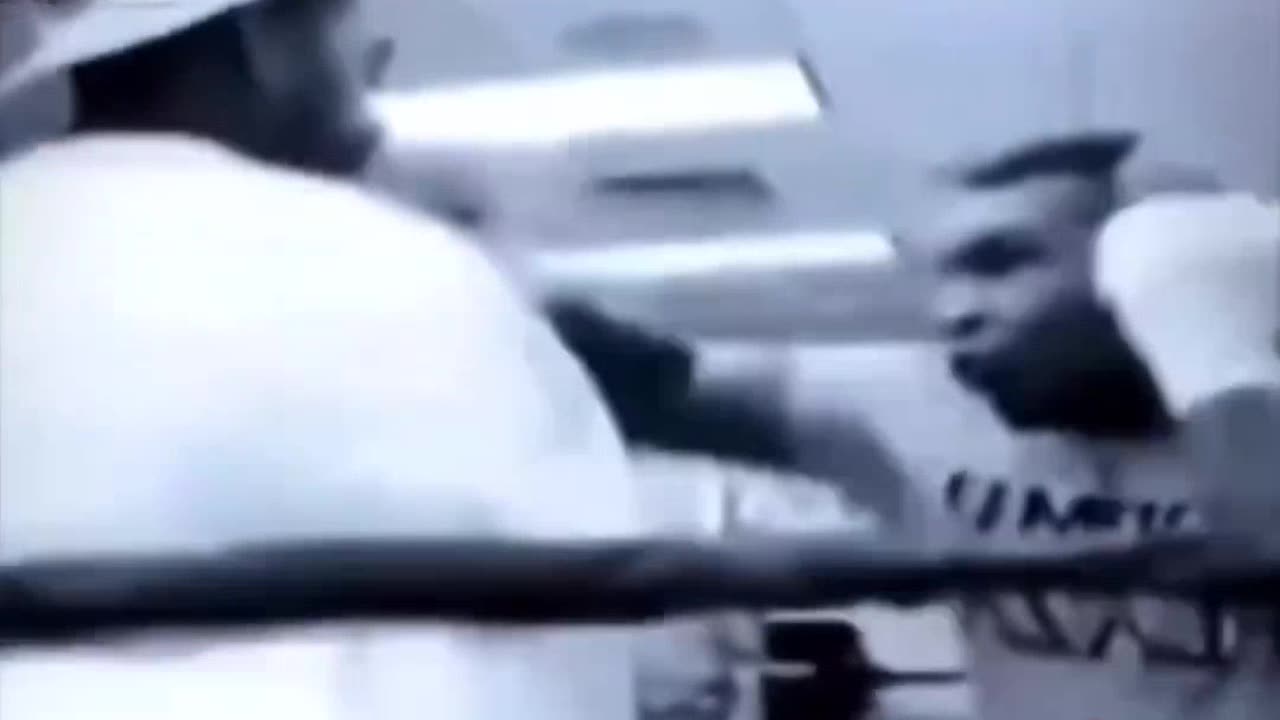 Kittens Watch Mike Tyson Box And.......