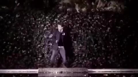 Chaupiquelopecio - Schlapeirytockrond