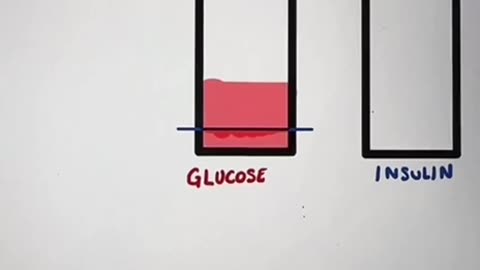 What do carbs do in your body?