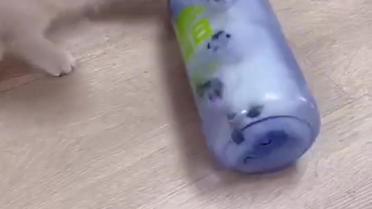 TRY NOT TO LAUGH 😆 Best Funny Videos Compilation 😂😁😆 Memes