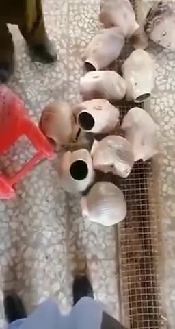 Afghanistan 🇦🇫 beheading of mannequins