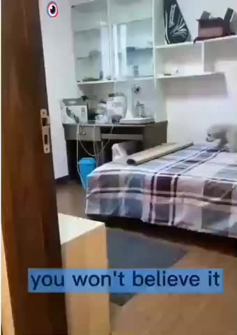 Funny dog كلب ذكي