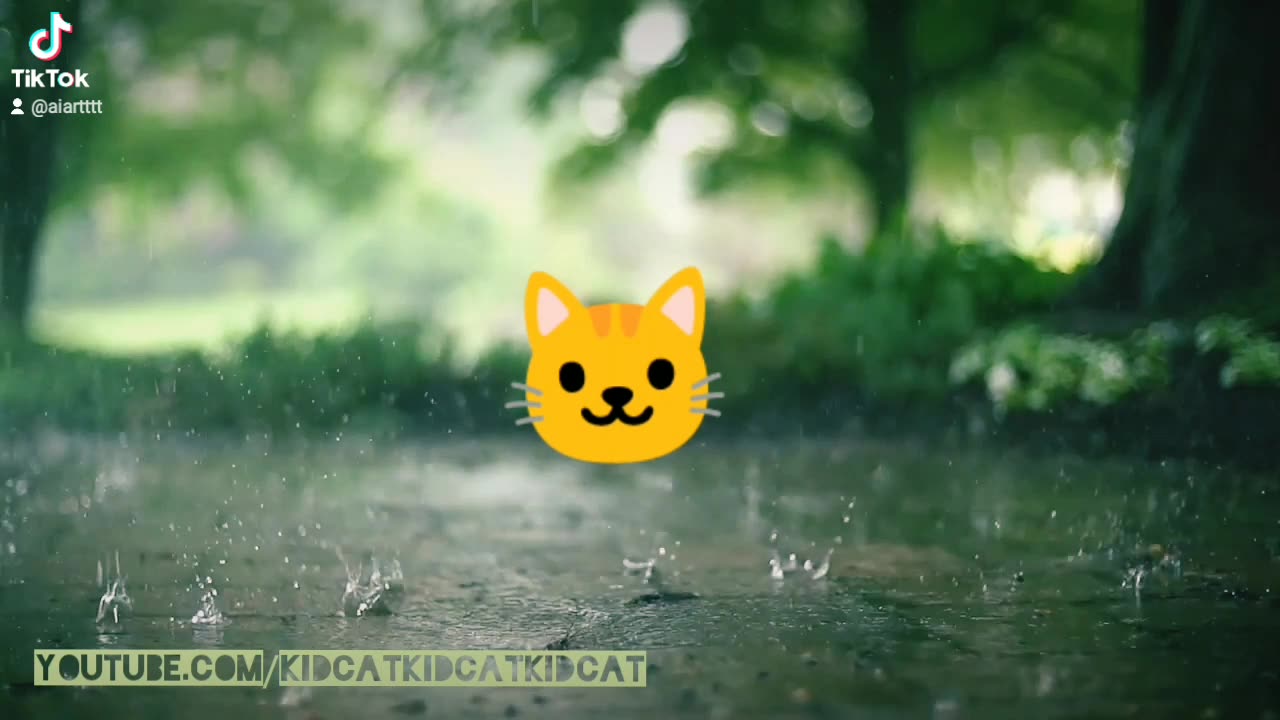 SLOW MOTION RAIN AND SOOTHING MUSIC