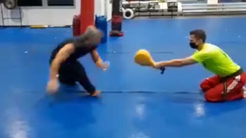 Low Spinning Sweep Kick 2