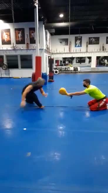 Low Spinning Sweep Kick 2