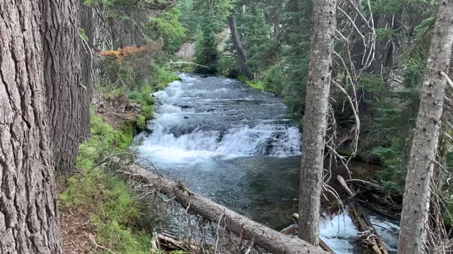 Central Oregon - Three Sisters Wilderness - Splendid Waterfall!