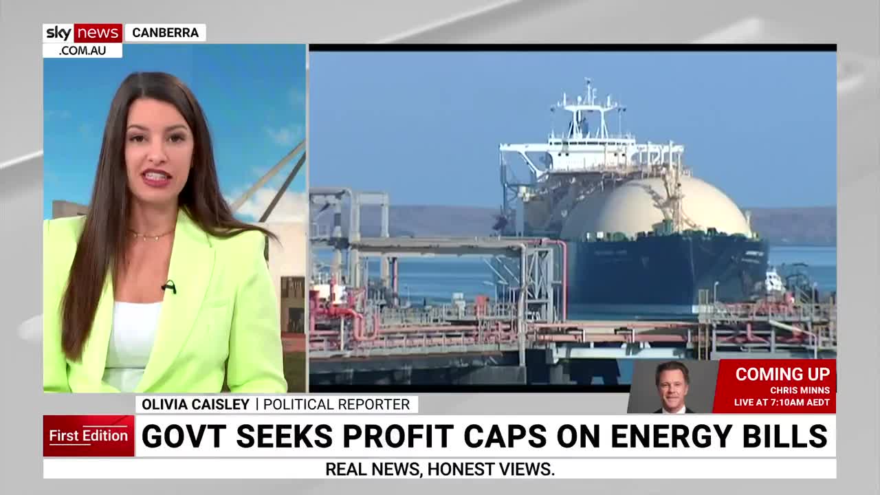 Albanese government seeks profit caps on energy bills