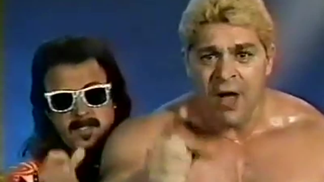 WWF Wrestling Challenge - Feb 17 1991