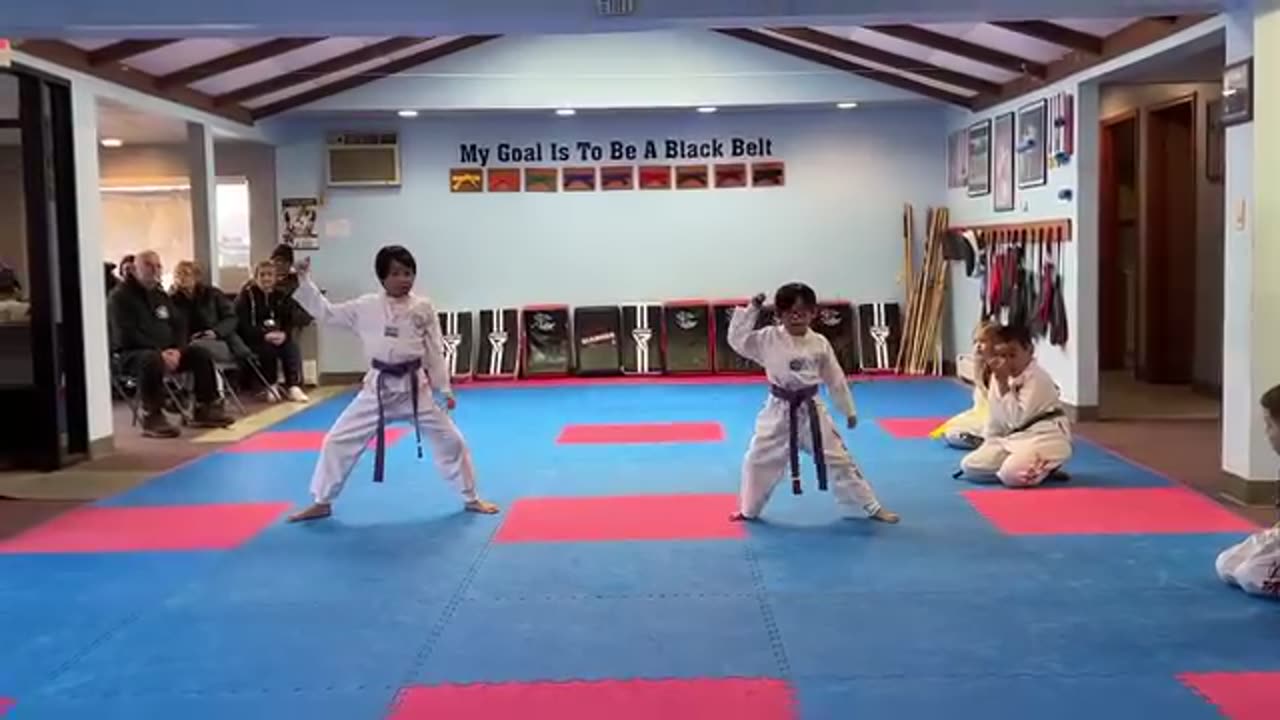 Taekwondo