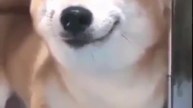 Do I look cute to you