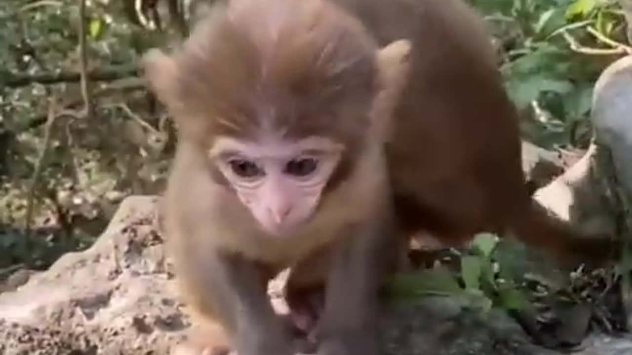 Must see! So cute baby animals