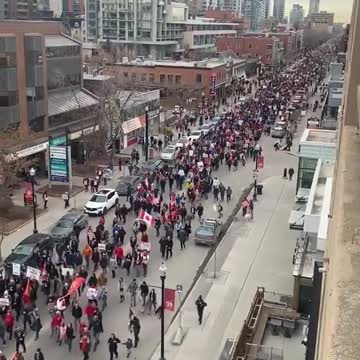 Calgary Freedom Rally supporting Truckers in Ottawa