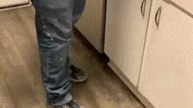 when your cats see you