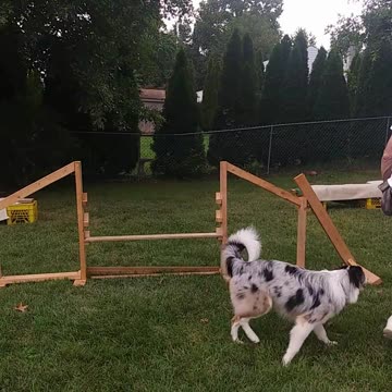 Hurdles Sit to Jump G