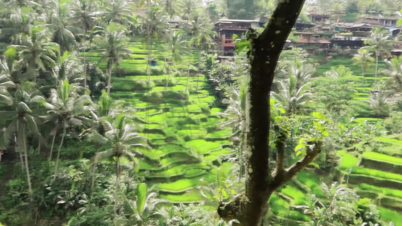 travelling in south east asia _ indonesia _Full-HD