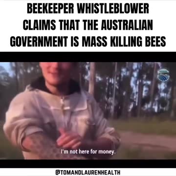Australian beekeeper claims government is killing bees