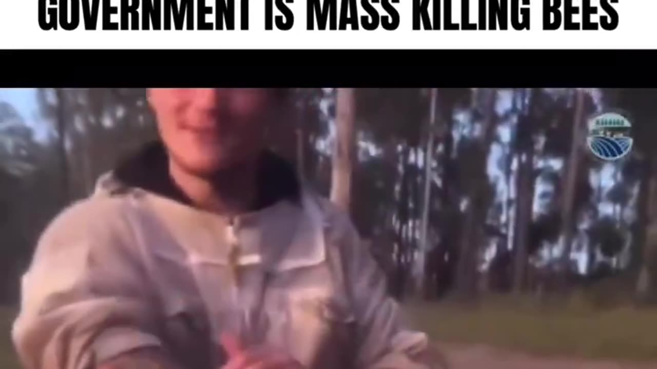 Australian beekeeper claims government is killing bees
