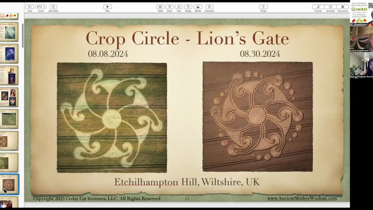 Лора Эйзенхауэр и AuroRa дают интервью подкасту Weeds of Wisdom