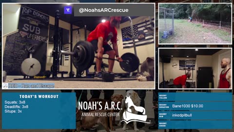 Gym Session w/Hank-a-Tank [Week 19] - Squats & Deadlifts // Animal Rescue Stream :)