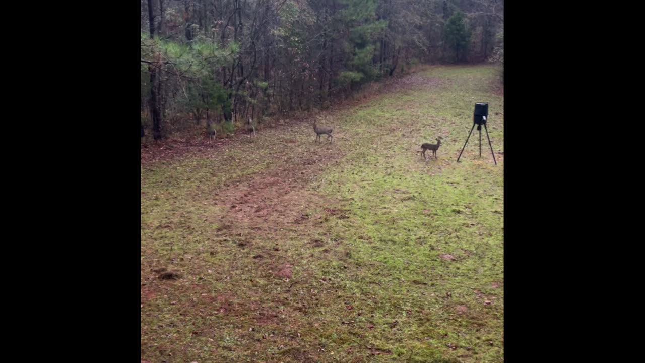 Wahuhi Hunts - Carter’s Field - Dec 10 - S1