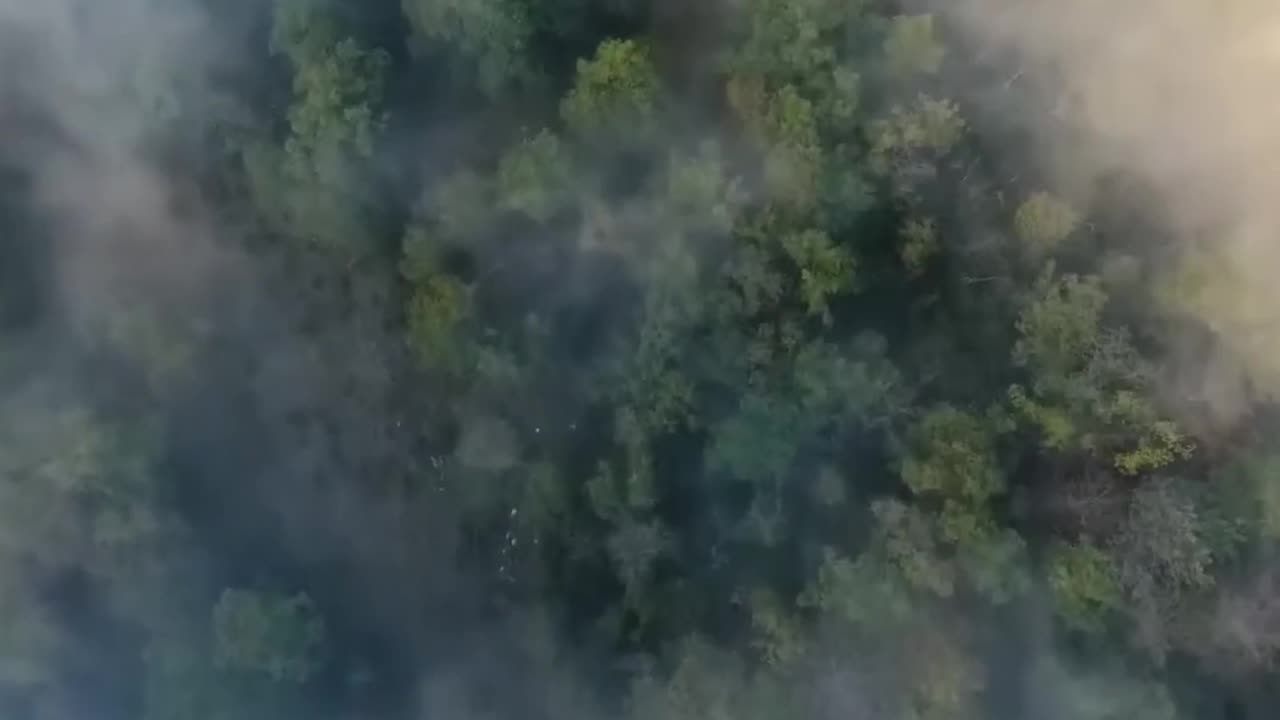 Exploring the Enchanting Beauty of Fogbows: The White Rainbows