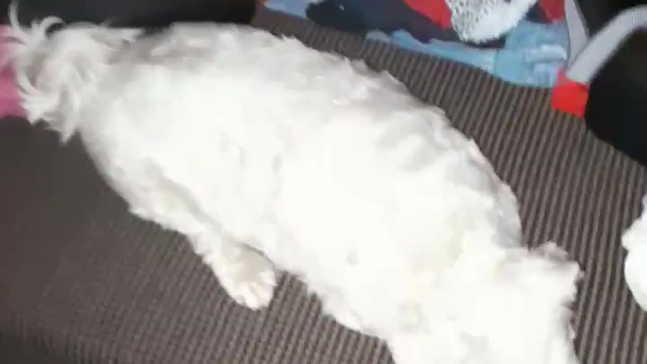 what's the plan, when we leave 🤔