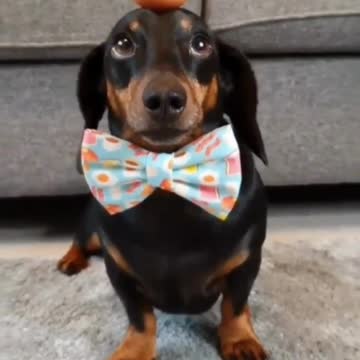 Start the day by laughing