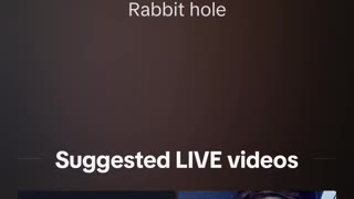 RABBIT HOLE LIVE 12,10,2024