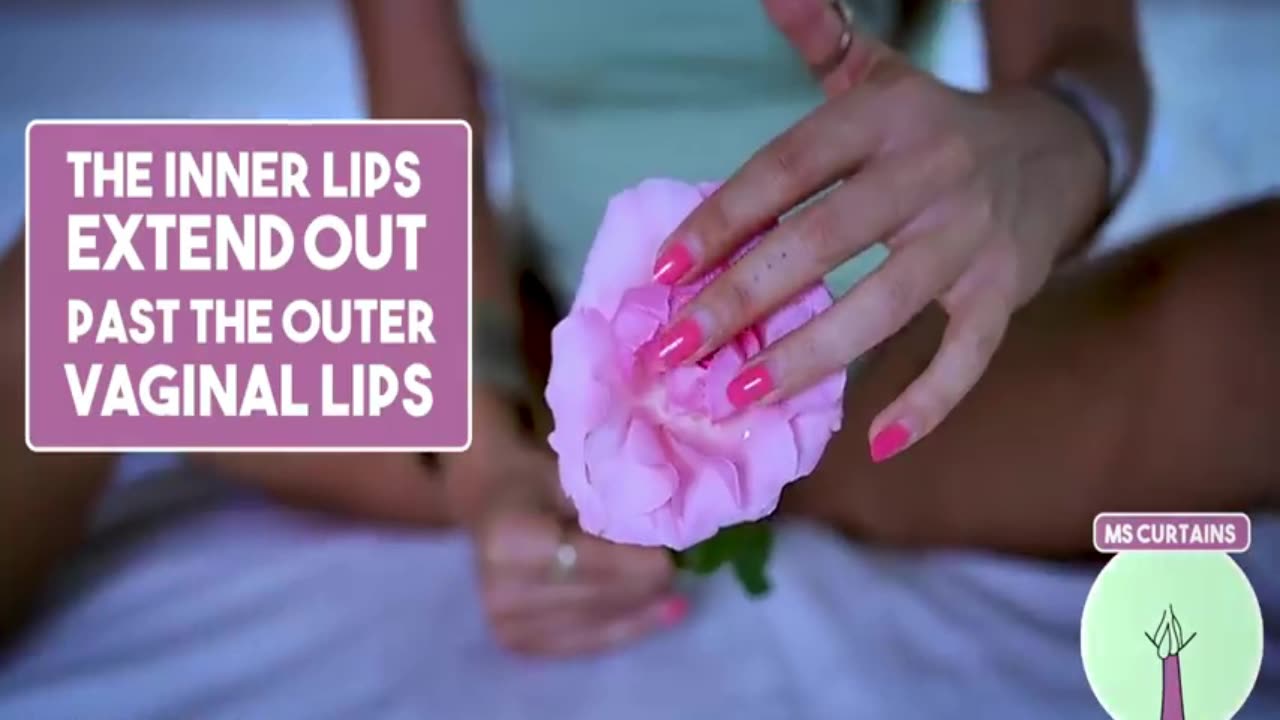 5 types vaginas.