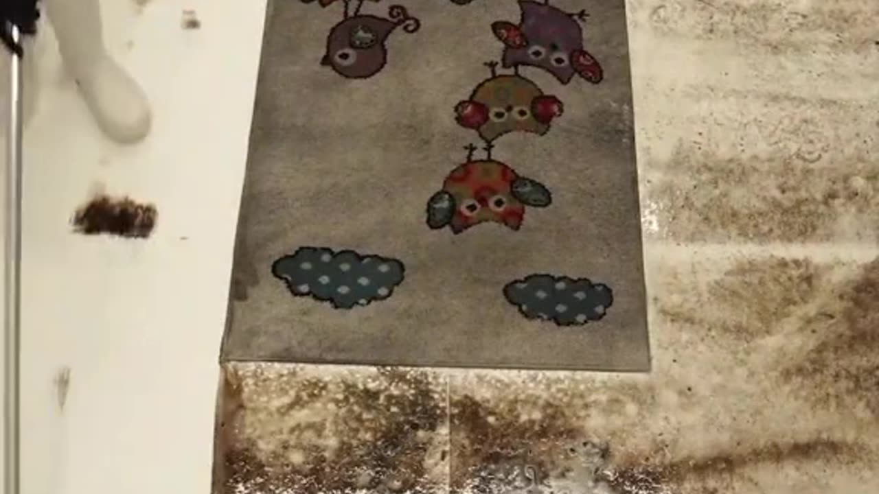 Satisfying mat cleaning