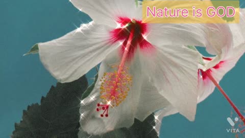 Nature is God, God is Nature