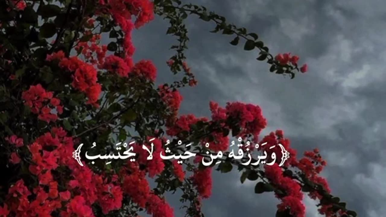 القرآن الكريم