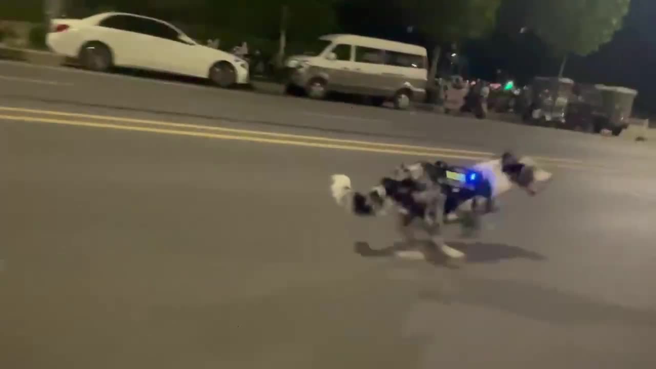 A half robotic dog competes with a car.