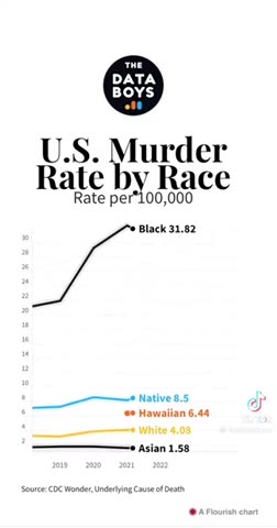U.S murder rate by race