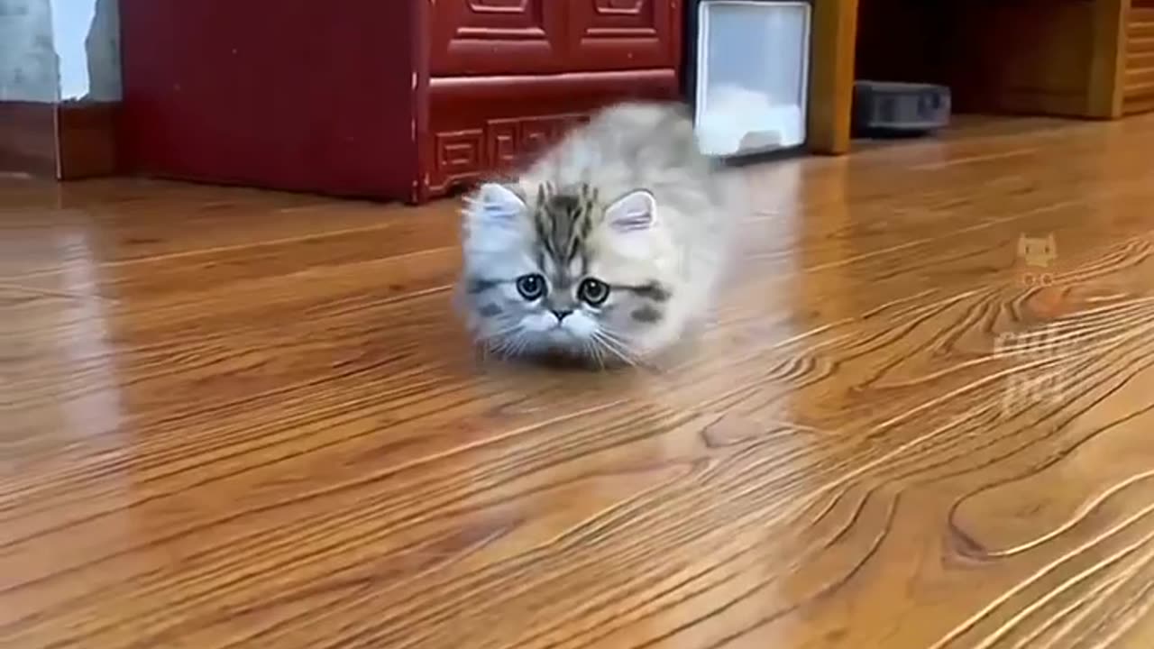 How cute is that 🥰