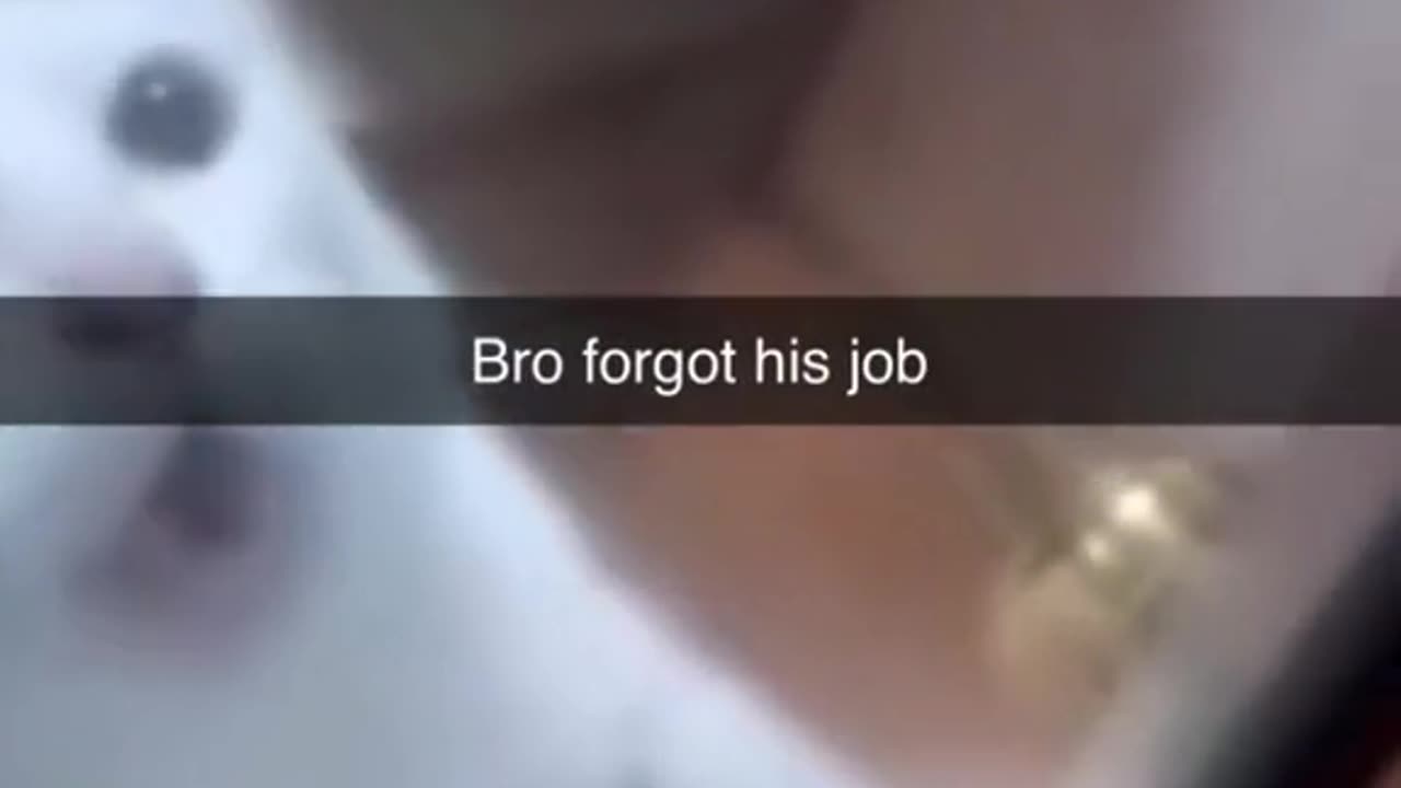 bro forgot his job